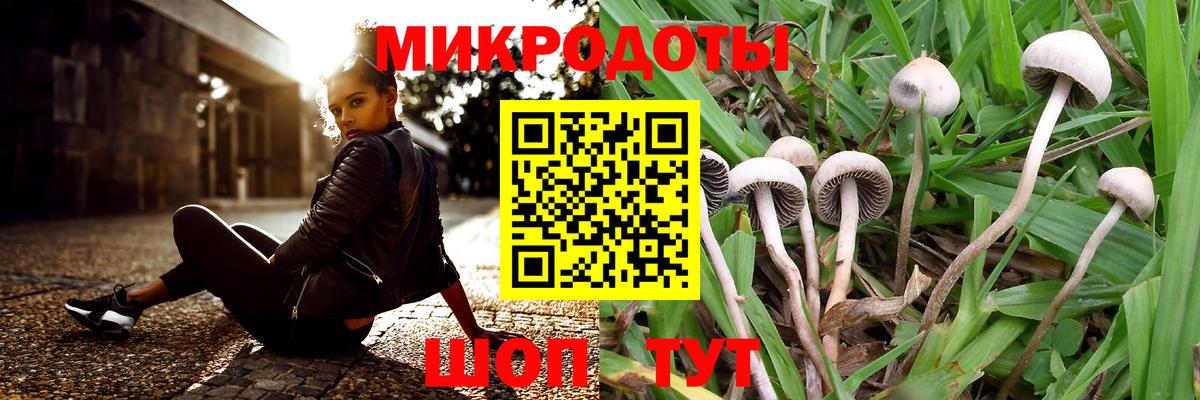Галлюциногенные грибы Cubensis  Вход с VPN  Галлюциногенные грибы прущие грибы  Евпатория 